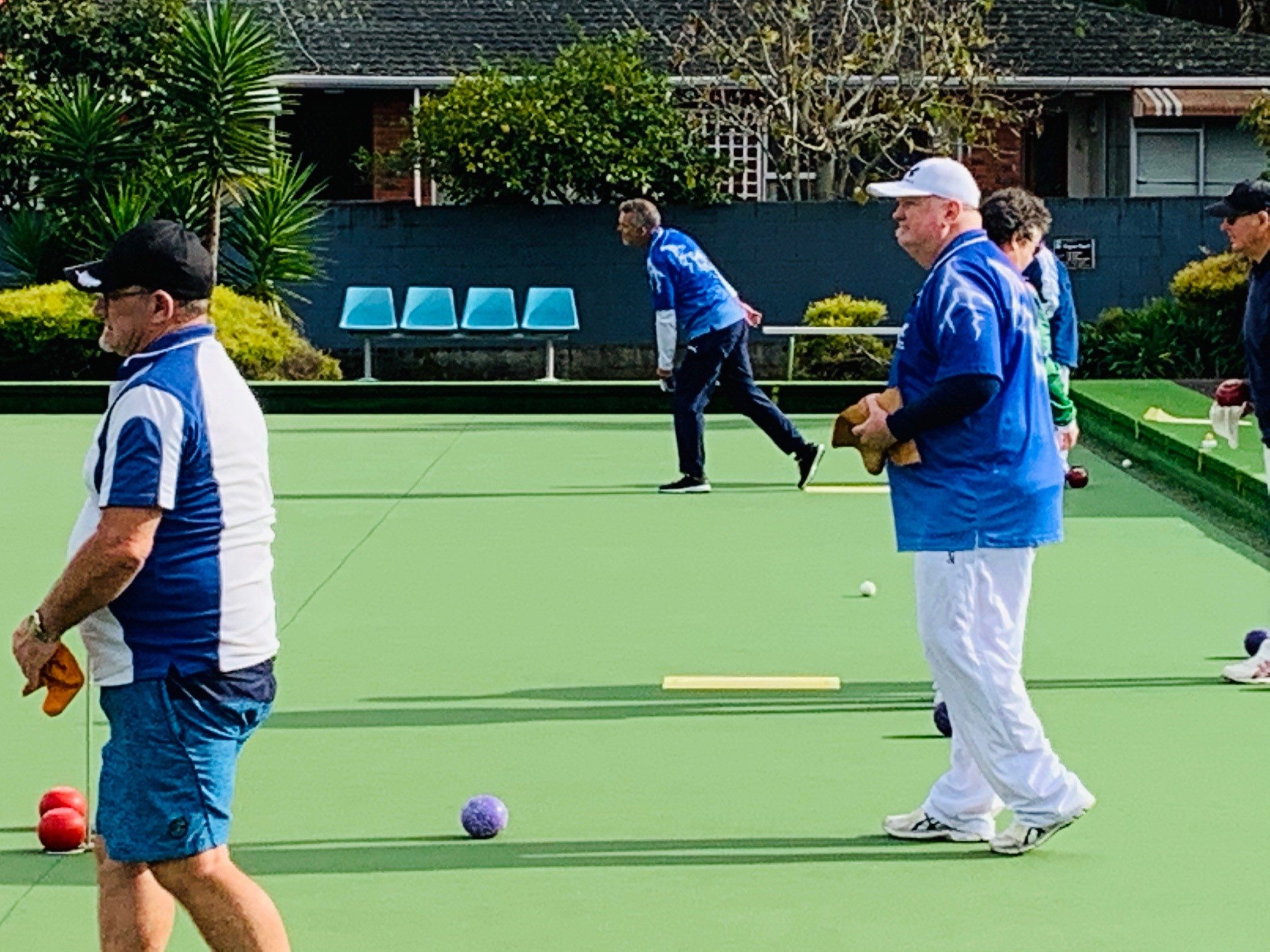 News Auckland Bowls